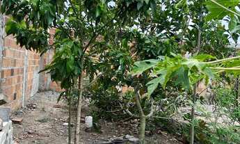 Imagem 4: VENDO TERRENO CONSTRUÍDO NA ASA BRANCA