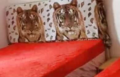 Imagem 4: APARTAMENTO - ACLIMAÇÃO - SP