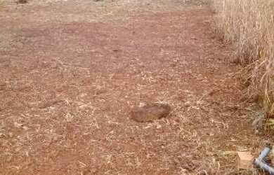 Imagem: Vende Lote Ponte Alta Norte