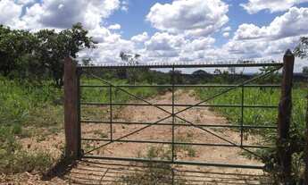 Imagem: Oportunidade única Lindas chácaras de