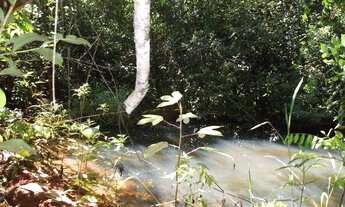 Imagem: Área de 1.700metros, terra de plantio com,agua,luz