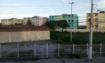 Imagem 6: 4 casas em terreno 9 x 50 no Jardim Centenário anexo ao Bugio
