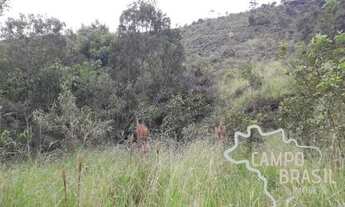 Imagem 5: Excelente Área Rural de 36mil m² em São Francisco Xavier!