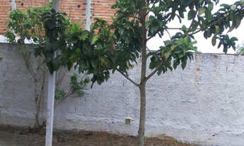 Imagem 4: Alugo Casa 100 m² - Casa na cidade com jeito de Chácara