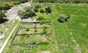 Imagem 3: Fazenda à venda entre Brejolândia e Serra Dourada, BA com 6808 hectares