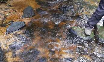 Imagem 5: Chácaras 4,7 alqueires. Escritura e Registro. Auto suficiência. Saia da cidade