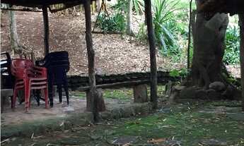 Imagem 7: Fazenda Na nossa senhora da guia