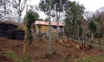 Imagem 2: Chácara completa em Prudentópolis!