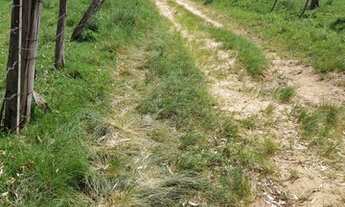 Imagem 7: Santa Maria - Fazenda - Zona rural