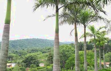 Imagem 3: Terreno para condomínio familiar