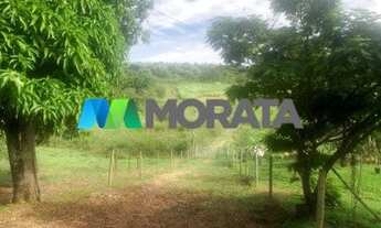 Imagem 3: FUNILâNDIA - Fazenda - Zona Rural