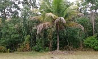 Imagem 5: SITIO RESIDENCIAL em CAMAÇARI - BA, COQUEIROS DE AREMBEPE (ABRANTES