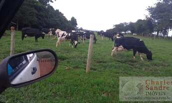 Imagem 4: Chácara para Venda em Petrolina de Goiás, Zona Rural, 3 dormitórios, 1 banheiro, 1 vaga