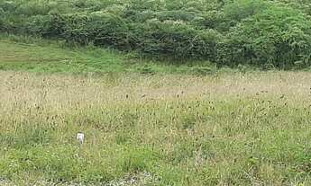 Imagem 4: Comprar em Serra Negra é o top para construir ou investir.