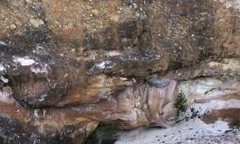 Imagem 5: Área P/ Mineração Diamantes Interior De MG