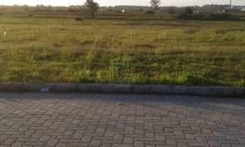 Imagem: PELOTAS - Terreno Padrão - Centro