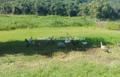 Imagem 7: Fazenda/Sítio/Chácara para venda com 23000 metros quadrados com 2 quartos