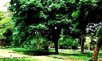 Imagem 2: Vendo Jazigo no cemitério da Paz