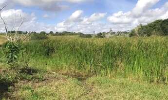 Imagem 4: VENDE-SE ótima CHÁCARA com 8,5 hectares