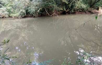 Imagem 3: Bela área 4.8ha, com área plana, fundos no rio caraá