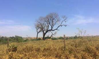 Imagem 5: Senador Canedo - Terreno Padrão - Setor Central