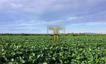 Imagem 2: Fazenda 34 Alqueires, Área Rural de Goiânia, GO