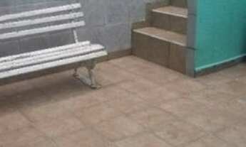 Imagem 5: 200 m² - Casa a venda Moóca, 3 dormitórios, 3 vagas e quintal