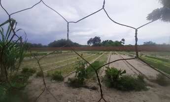 Imagem 3: Òtimo terreno totalmente plano- Precabura - Eusébio - CE