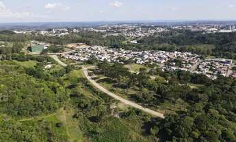 Imagem 4: CAXIAS DO SUL - Terreno Padrão - Século XX