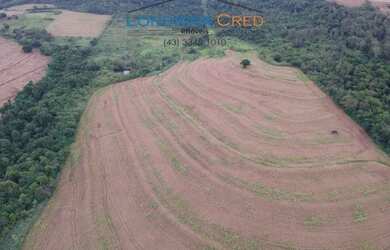 Imagem 2: Terreno em rua - Bairro Jardim Alvorada em Maringá