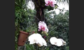 Imagem 5: Aluguel de chácara para pequenos eventos evangélicos