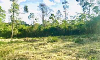 Imagem 3: W.N.S TERRENOS PLANOS E LIMPOS PARA SUA CASA DE CAMPO EM IBIÚNA-SP