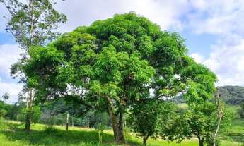 Imagem 2: Linda Chácara otima localização ( Willian Ricardo
