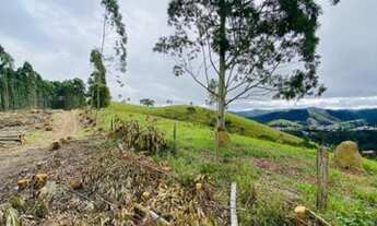 Imagem 2: Terrenos demarcados