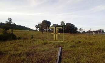 Imagem 5: Fazenda 160 Alqueires, Araguapaz, GO