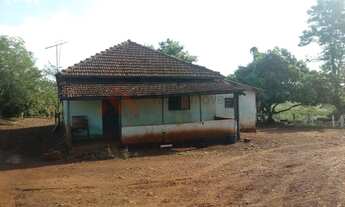 Imagem 3: Oportunidade Sítio Criação Frangos Ibiporã