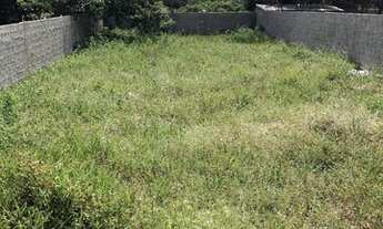 Imagem 2: Terreno na PIPA. limpo, plano e murado, 500 metros da praia de Cacimbinhas