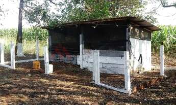 Imagem 7: Oportunidade Sítio Criação Frangos Ibiporã