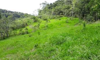 Imagem 2: Sítio 5 alqueires com Rio no final do Sítio (Willian Ricardo