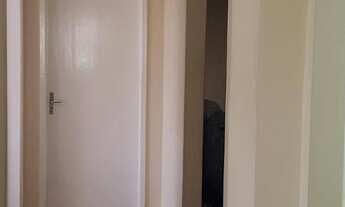 Imagem 5: CURITIBA - Padrão - Tingui