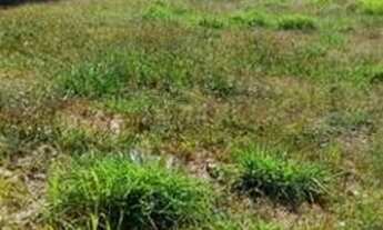 Imagem: Terreno residencial/comercial à venda