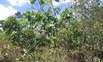 Imagem 2: TERRENO RESIDENCIAL em CAMAÇARI - BA, COQUEIROS DE AREMBEPE (ABRANTES