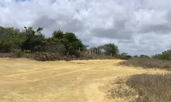 Imagem 5: Terreno carapibus