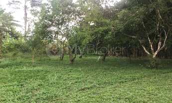 Imagem 3: CHÁCARA NO RECANTO DO BOSQUE