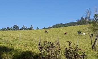 Imagem 7: Sítio de 1 Alqueire em Piracaia SP