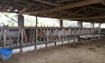 Imagem 4: São João Del Rei - Sítio - César De Pina