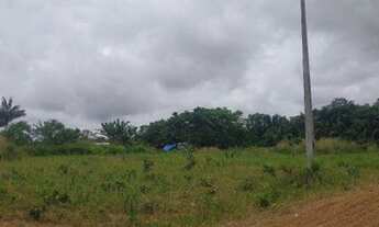 Imagem 3: Terreno no caldeirão