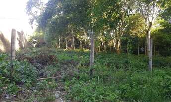 Imagem: Lote/Terreno para venda com 1200m² em Aldeia