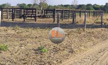 Imagem 6: Fazenda, 4000 hectares - venda por R$ 30.000.000 - Ribeirão Cascalheira/Mato Grosso