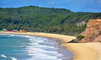 Imagem 2: Lote/Terreno para venda tem 35208 metros quadrados em Piau - Tibau do Sul - RN